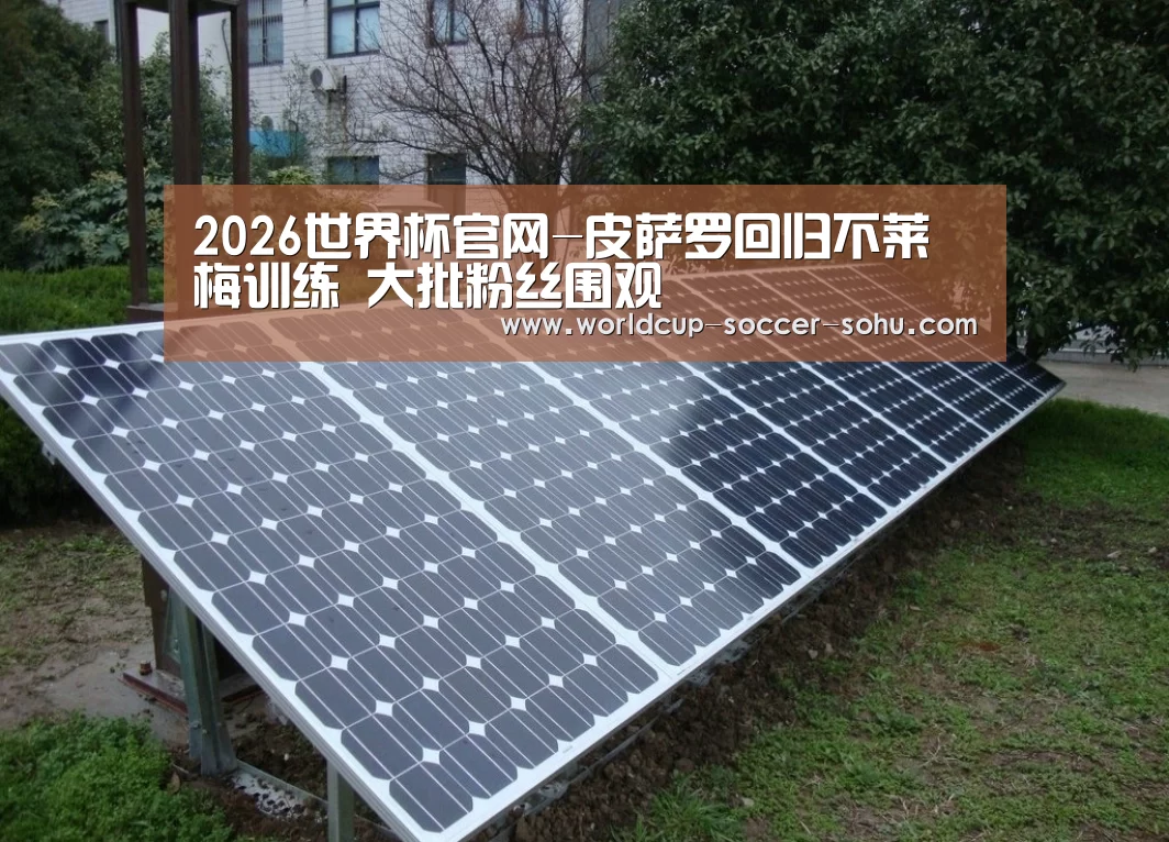 2026世界杯官网