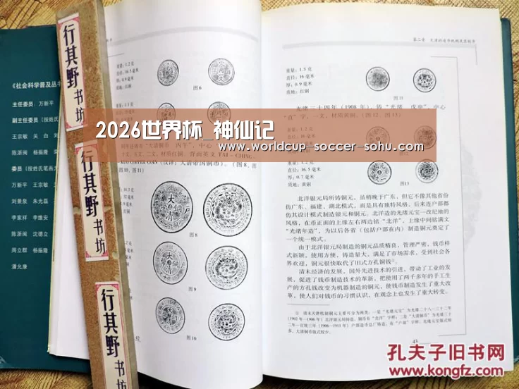 2026世界杯_神仙记