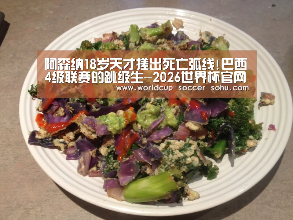阿森纳18岁天才搓出死亡弧线!巴西4级联赛的跳级生-2026