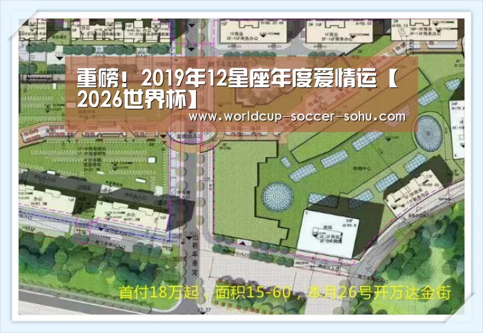 重磅!2019年12星座年度爱情运【2026世界杯】(图2) 世界杯网站